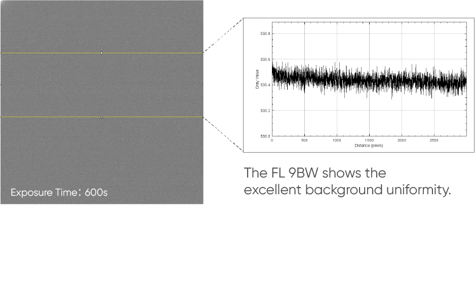 FL 9BW Cooled CMOS Camera