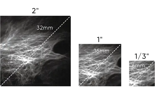 Dhyana 95 V2 sCMOS Camera