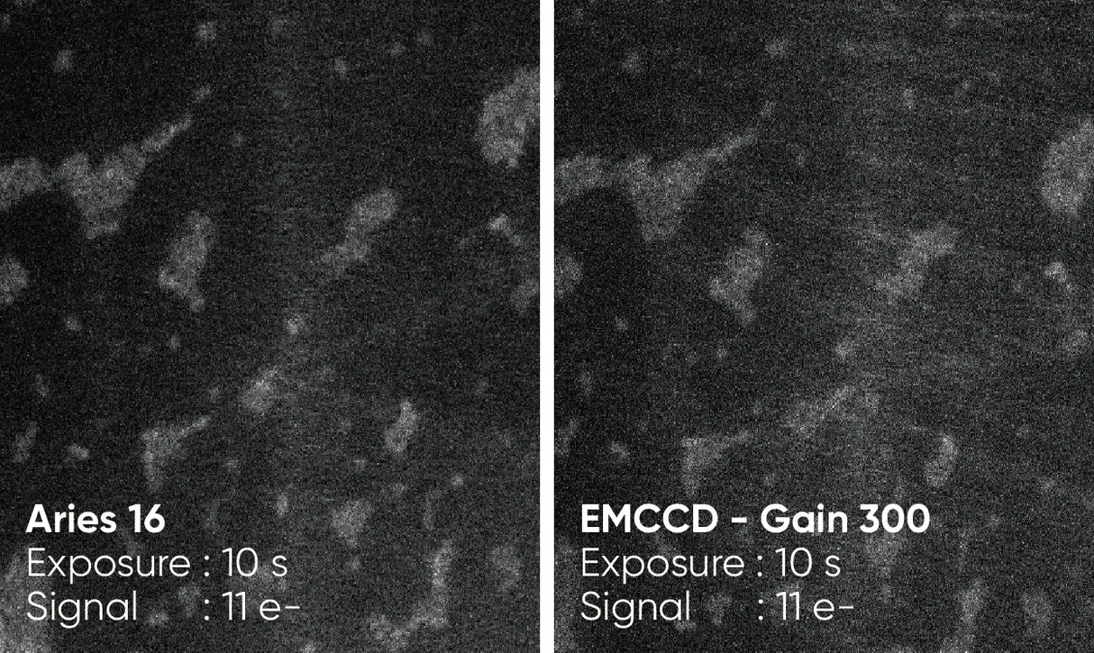 Aries 16 sCMOS Camera