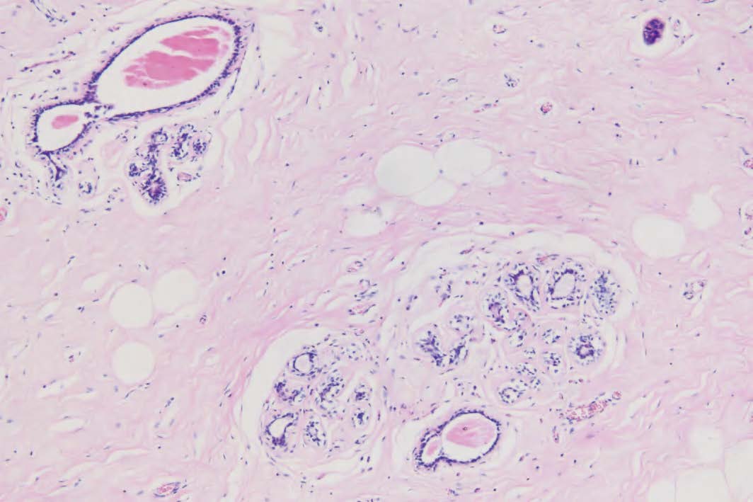 BioHD-C20 Colour CMOS Camera