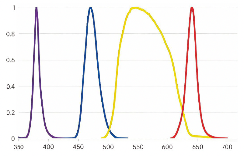 FC-904L Fluorescence LED Illuminator
