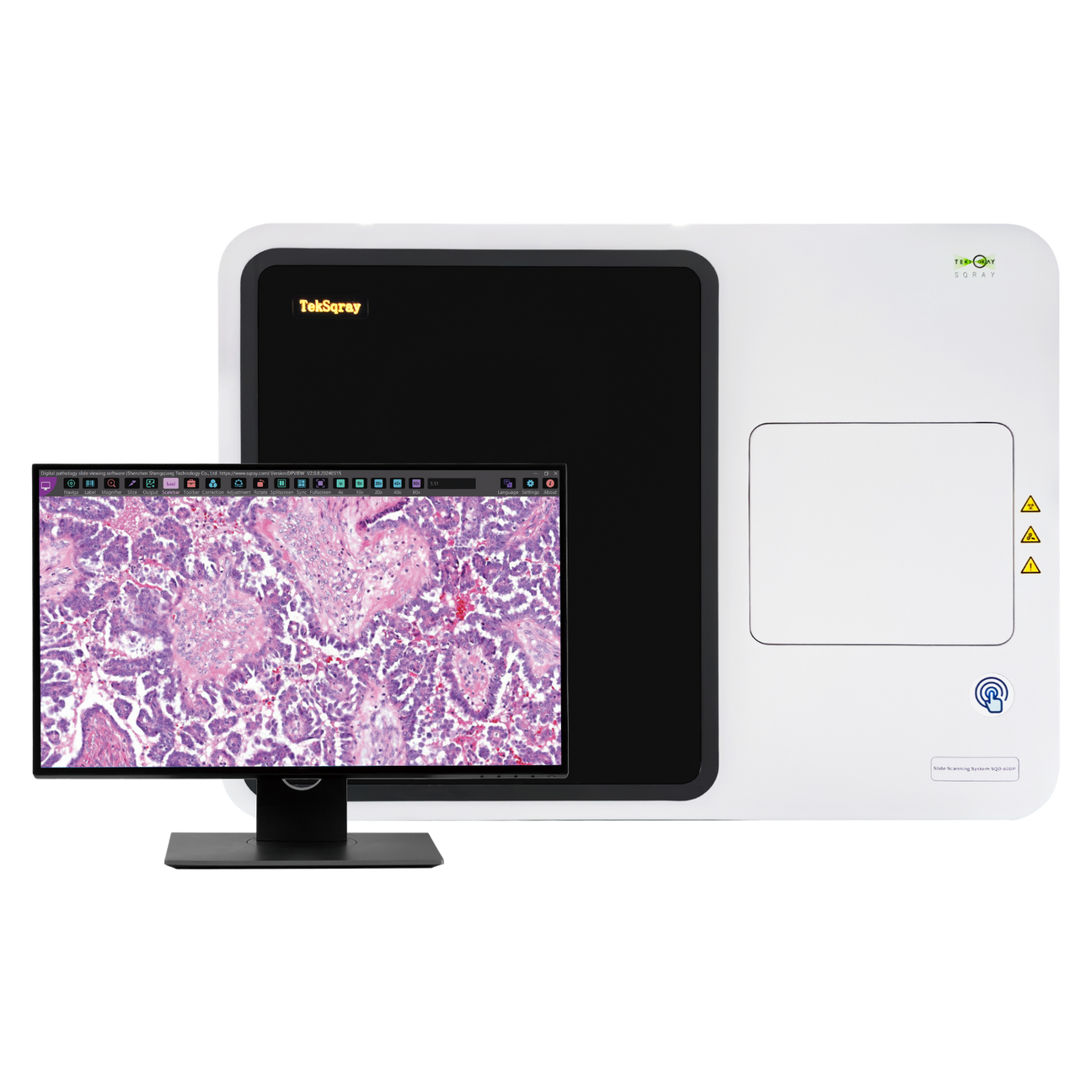 Digital Pathology