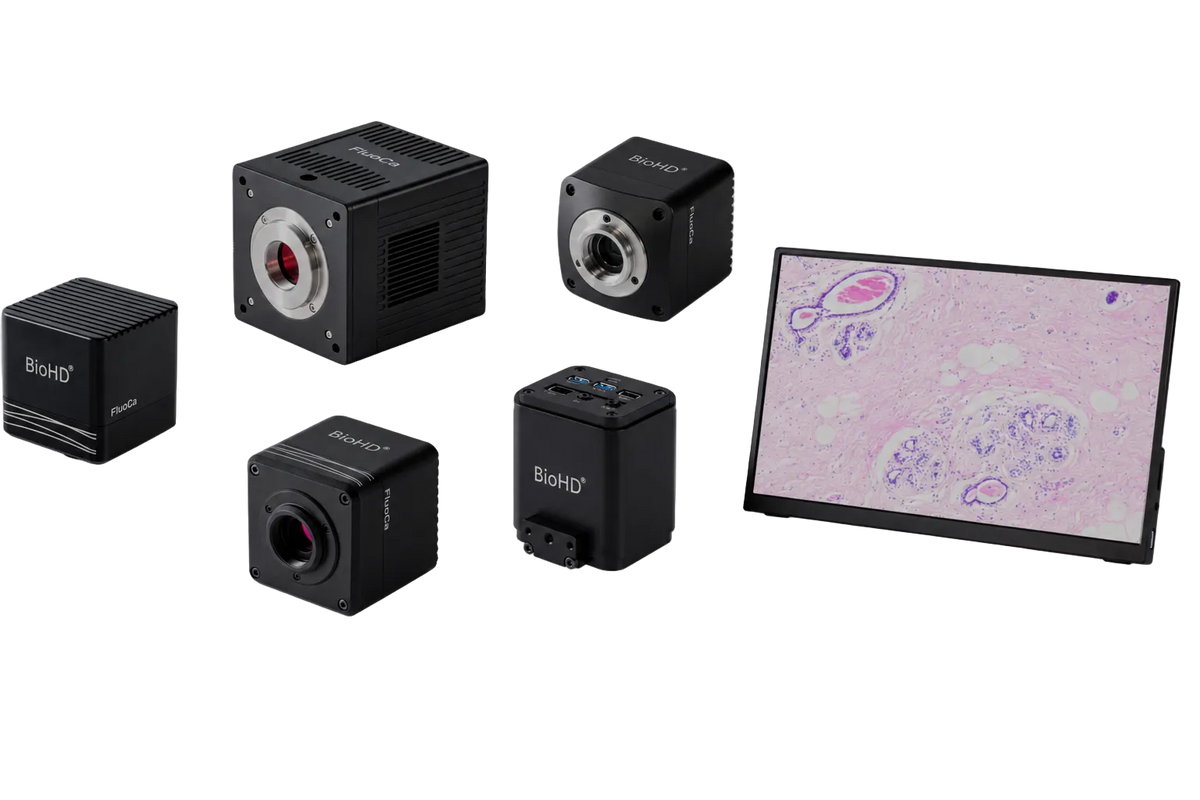 Microscopy Imaging