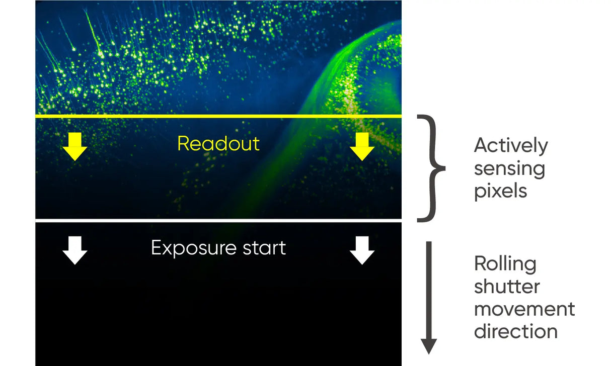 Dhyana 400BSI V3 sCMOS Camera