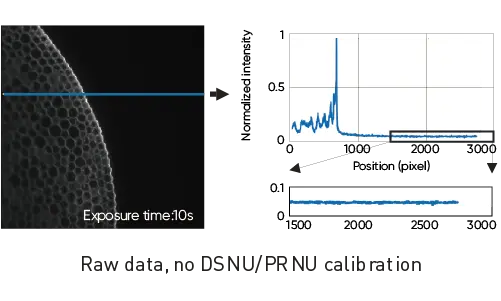 FL20/20BW Cooled CMOS Camera