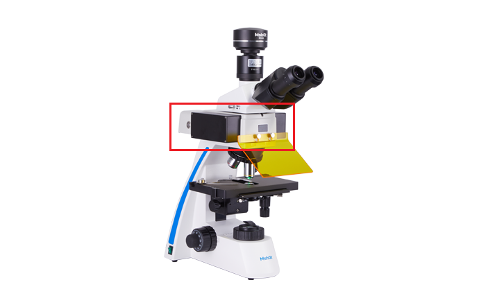 MF, MIF and MZX Fluorescence LED Module