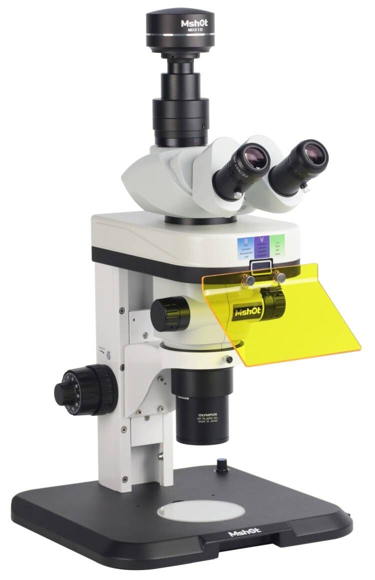 MF, MIF and MZX Fluorescence LED Module