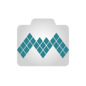 Mosaic Software