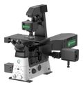Label Free 3D Imaging