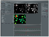 VisiView Software
