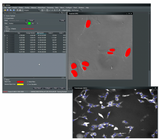 VisiView Software