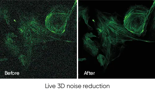 FL20/20BW Cooled CMOS Camera