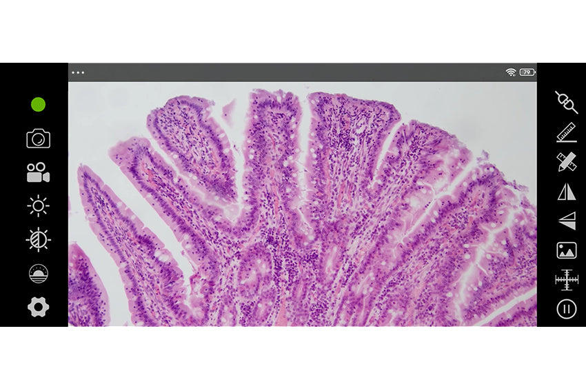 TrueChrome 4K Pro/WiFi Camera